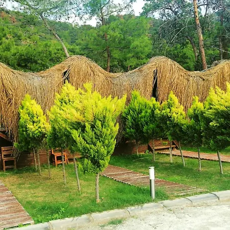 Hotel Pine & Luxury Concept Oludeniz