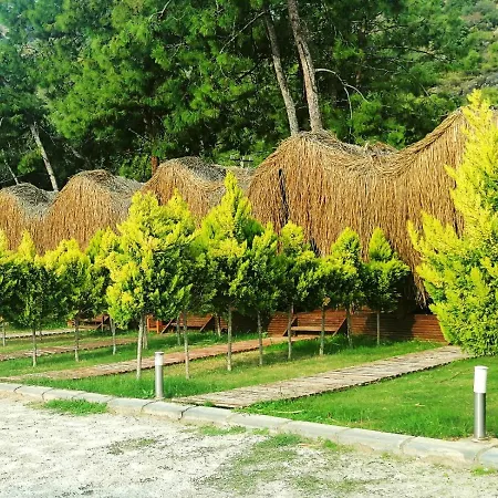Hotel Pine & Luxury Concept *