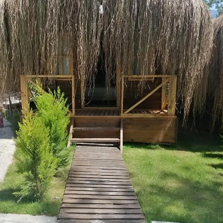Pine & Luxury Concept Hotel *