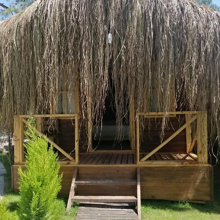 Pine & Luxury Concept * Oludeniz