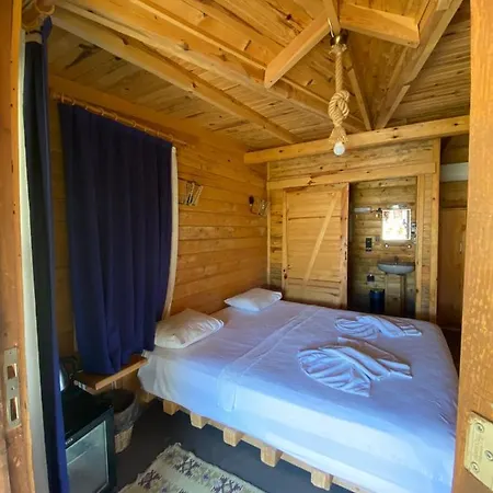 Hotel Pine & Luxury Concept