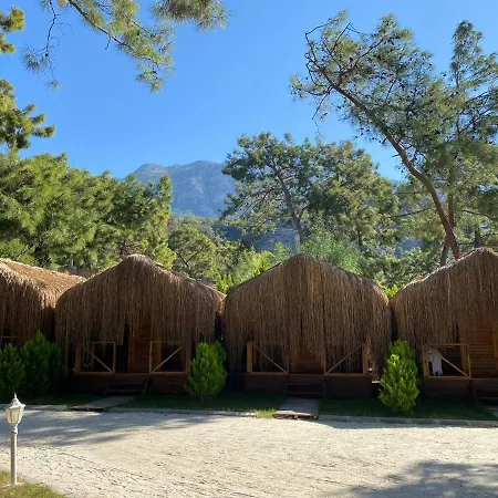 Pine & Luxury Concept Hotel *