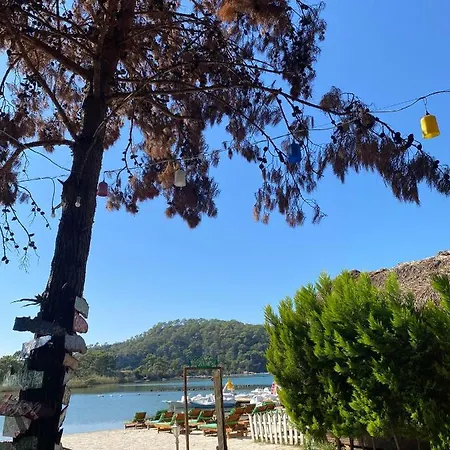 Pine & Luxury Concept * Oludeniz