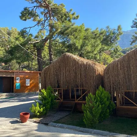 Pine & Luxury Concept Hotel *