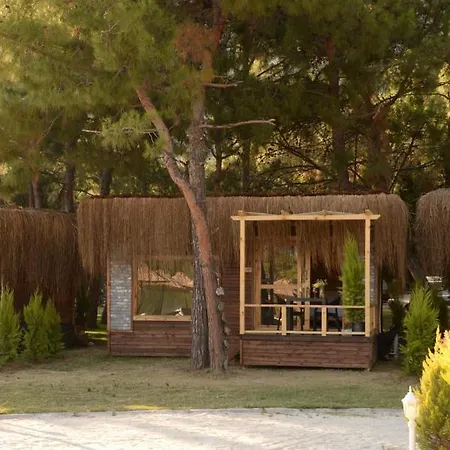 Hotel Pine & Luxury Concept *